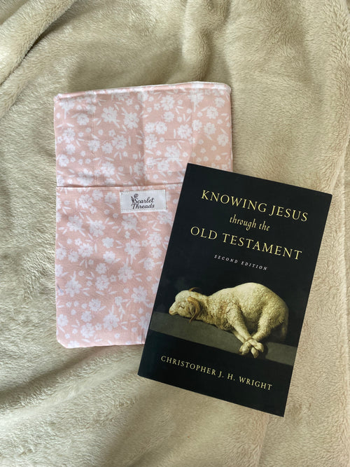 Book/E-reader Sleeve - Blush Meadows
