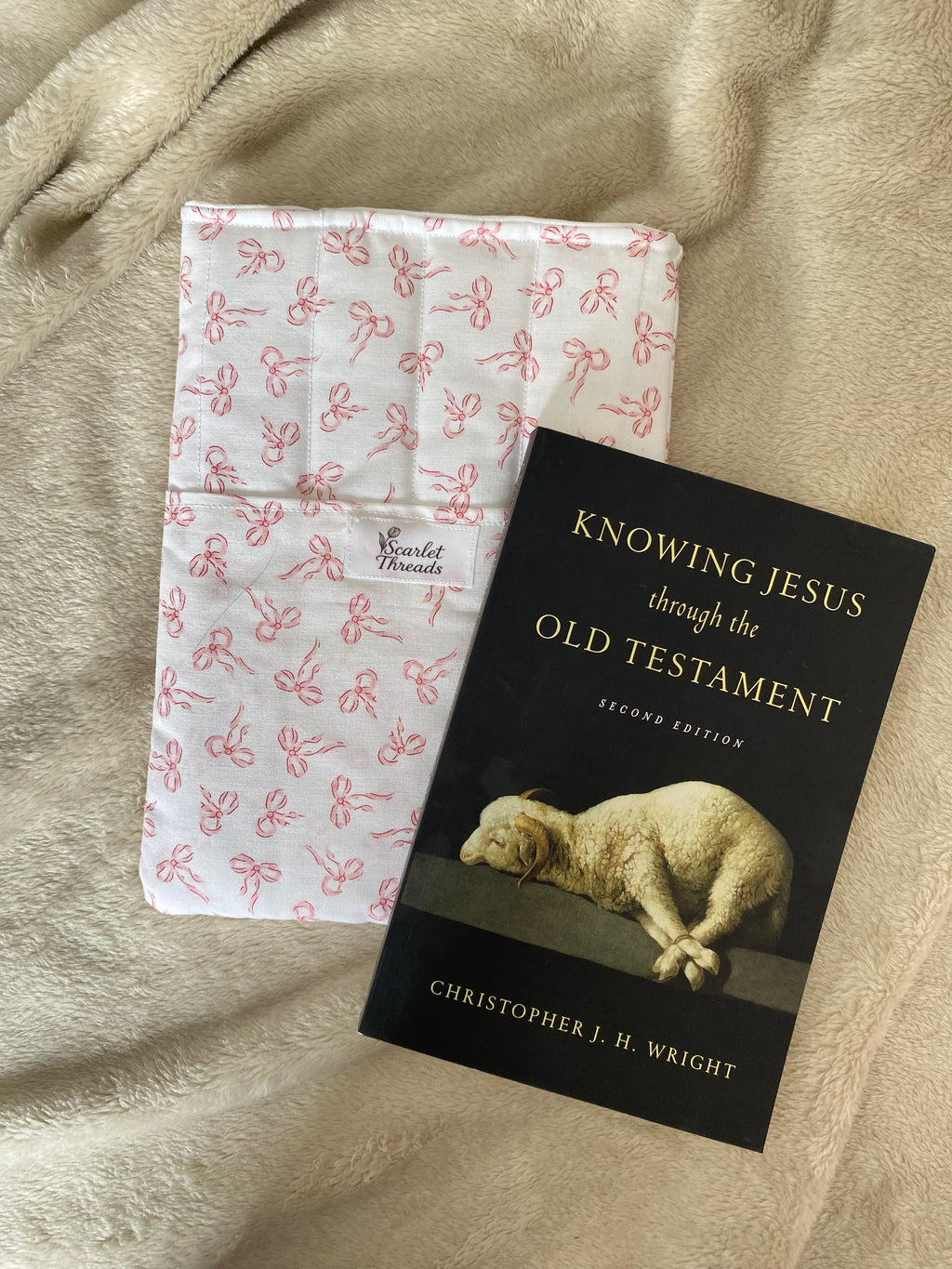 Book/E-readerSleeve - Ballerina Bows