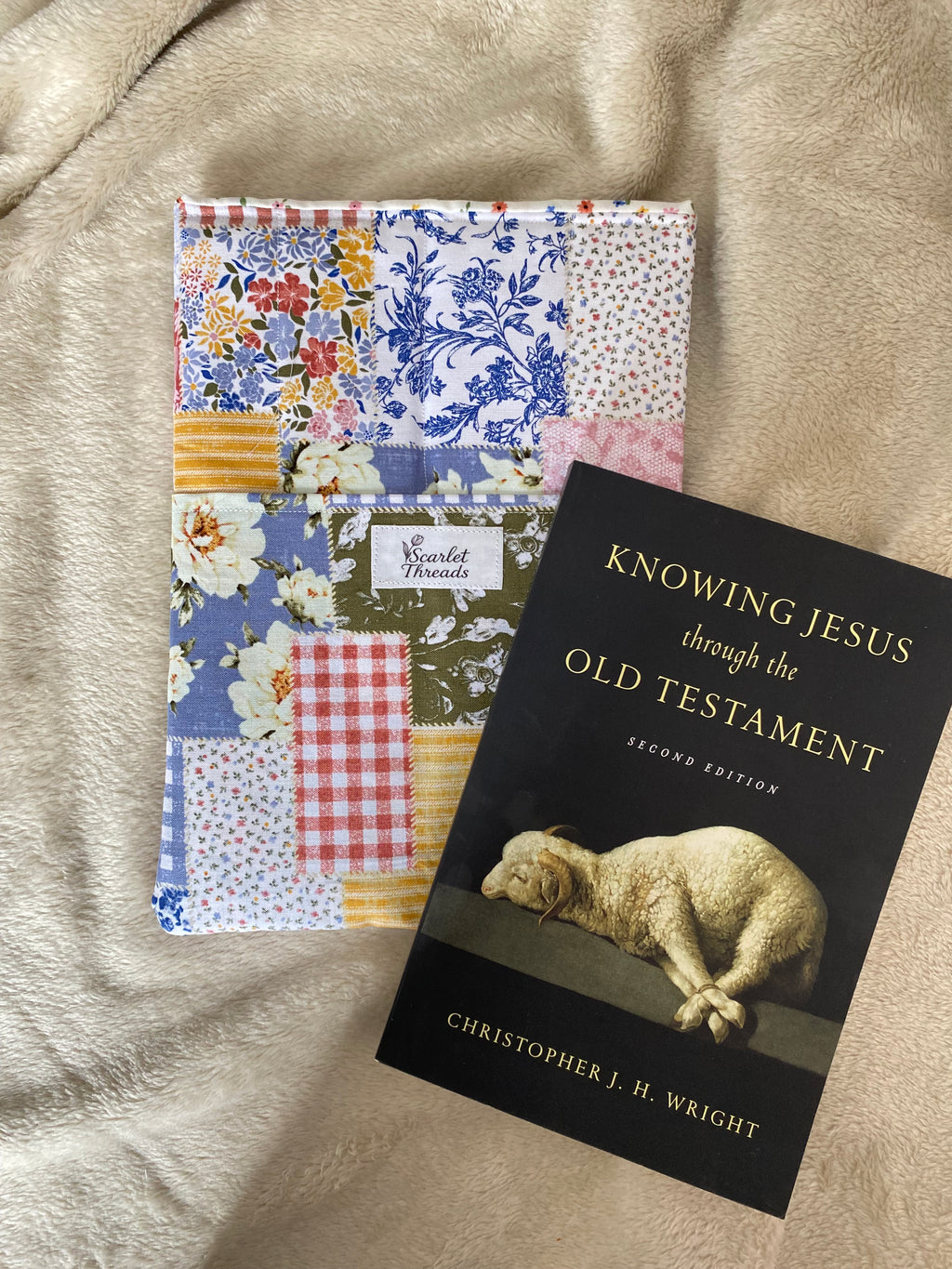 Book/E-reader Sleeve - Prairie Patchwork