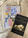 Book/E-reader Sleeve - Prairie Patchwork