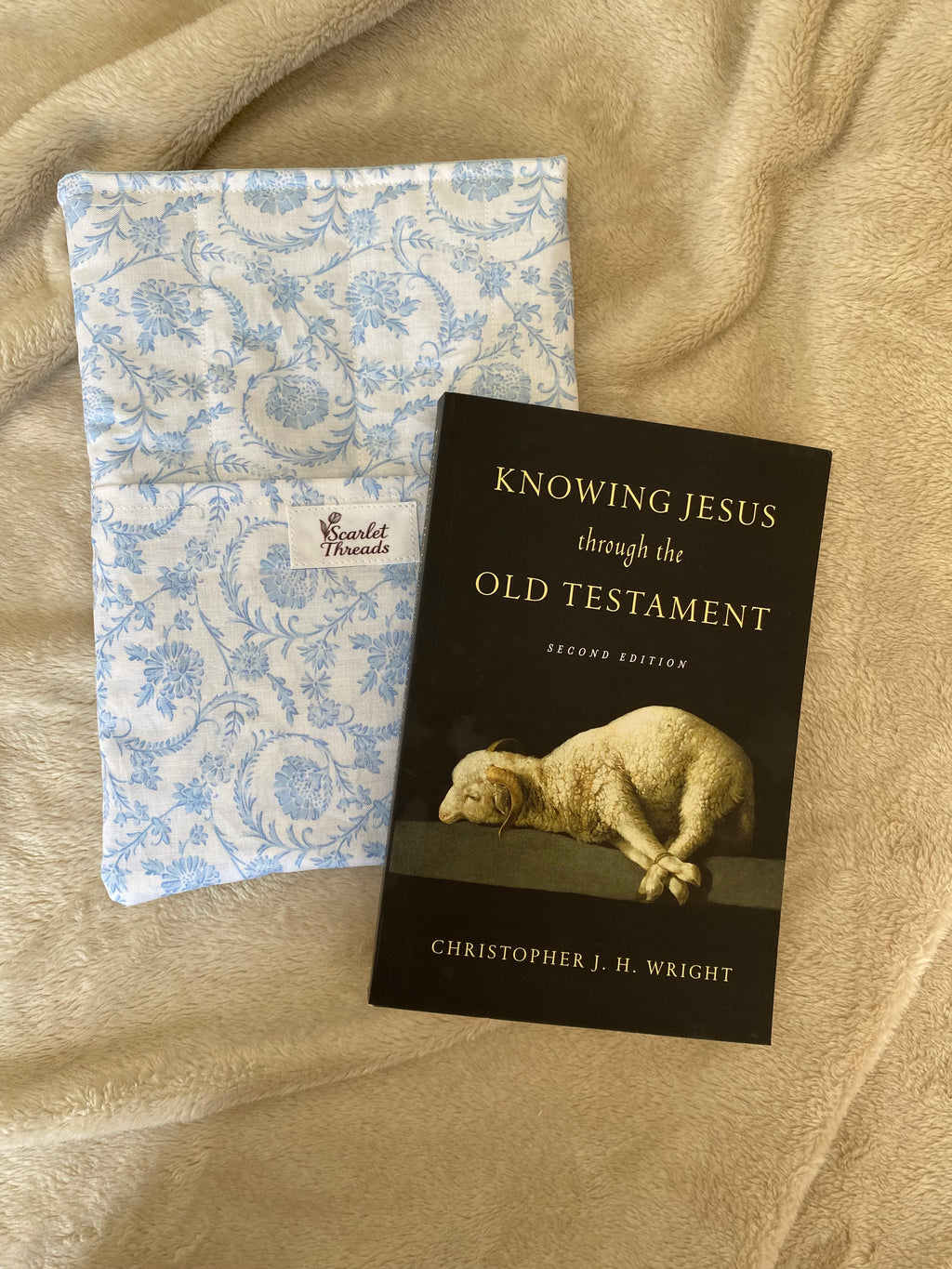 Book/E-reader Sleeve - Vintage Blue