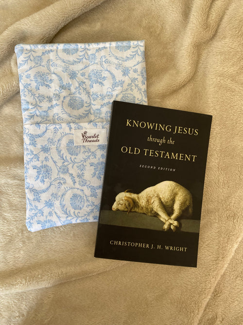 Book/E-reader Sleeve - Vintage Blue