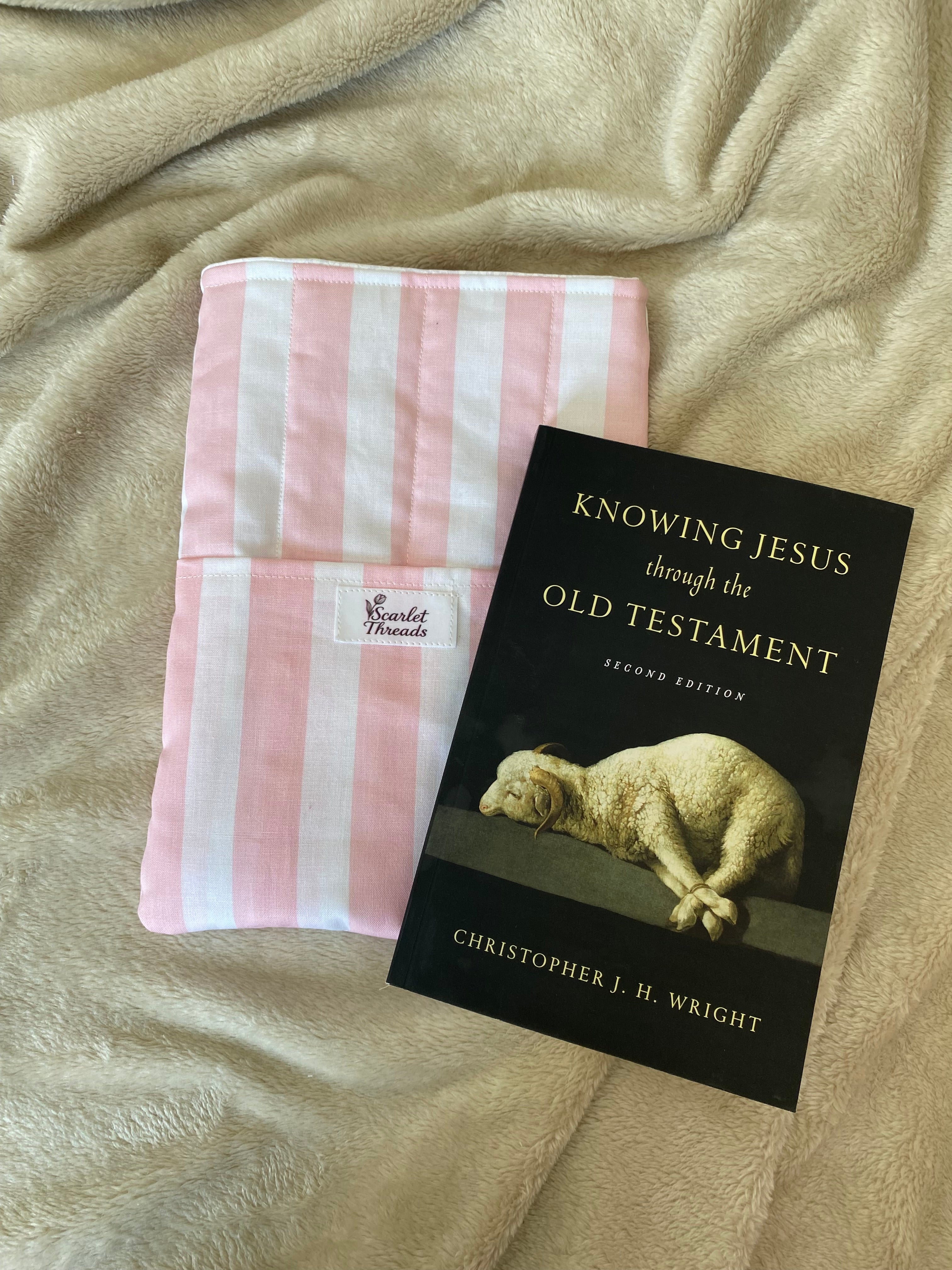 Book/E-reader Sleeve - Pink + White Stripes