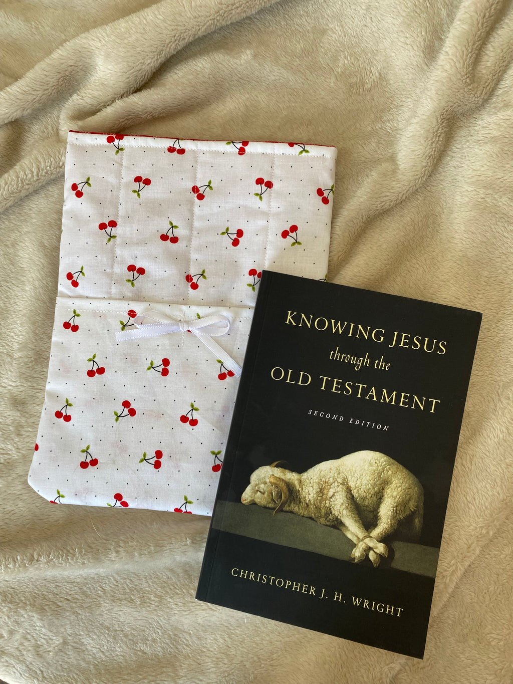 Book/E-reader Sleeve - Cherry Picnic